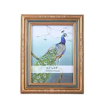 アルベルト・ラフォルス・カサマダ kokey picture frames 71iH+y3+5lL._UF350,350_QL50_.jpg